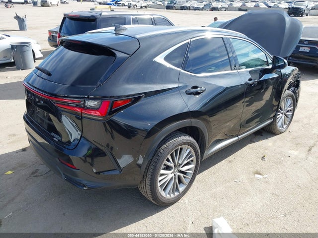 44152040 :رقم المزاد ، 2T2GKCEZ0SC045400 vin ، 2025 Lexus Nx 350h Premium مزاد بيع