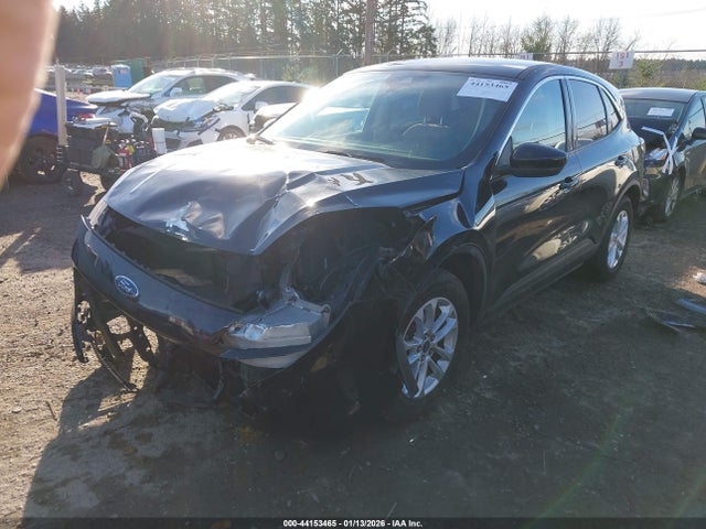 Ford ESCAPE SE 2020 1FMCU0G66LUC46880 Image 2