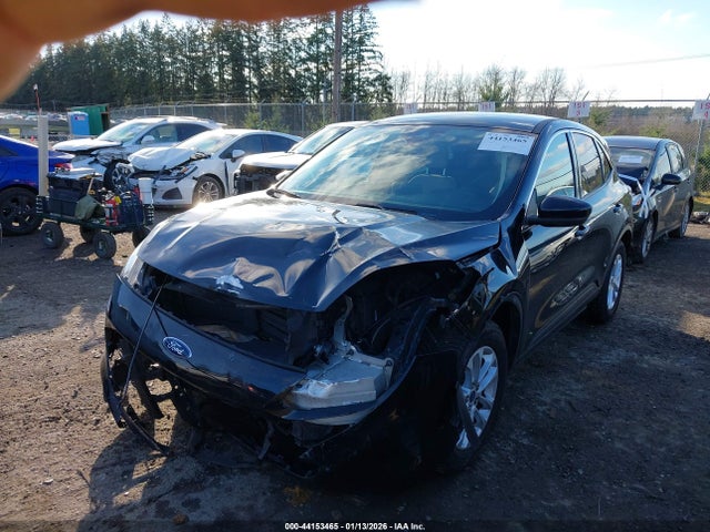 Ford ESCAPE SE 2020 1FMCU0G66LUC46880 Image 6