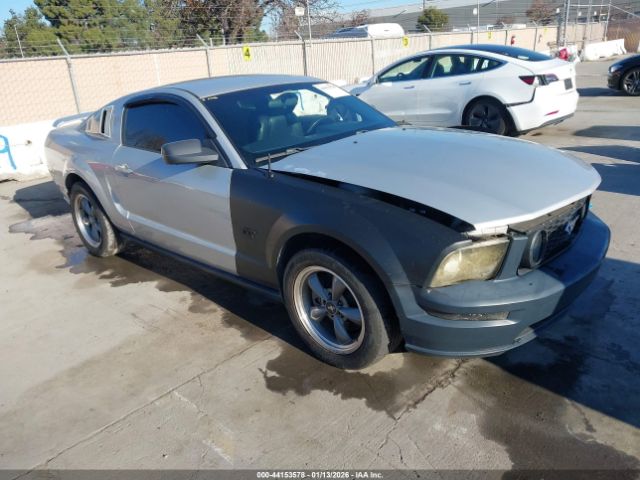 2006 FORD MUSTANG 1ZVHT82H165210434