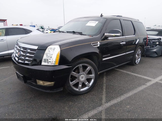 2010 CADILLAC ESCALADE 1GYUKCEF3AR189857 Photo 1