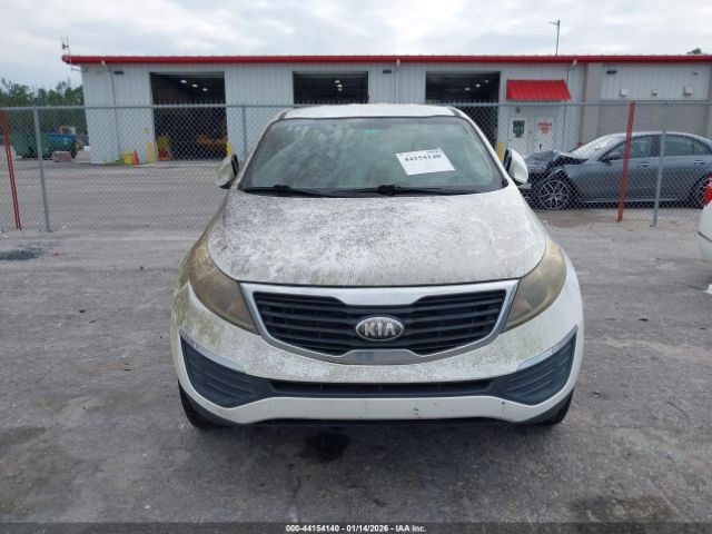 2013 KIA SPORTAGE KNDPB3A21D7493579 Photo 5