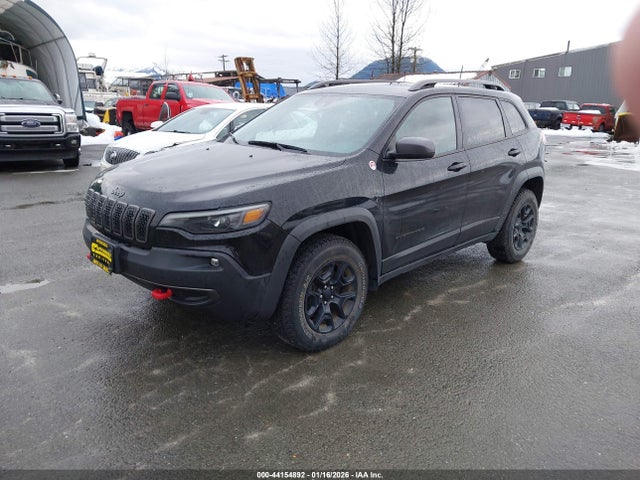 1C4PJMBXXLD619859 Jeep Cherokee Trailhawk 4x4