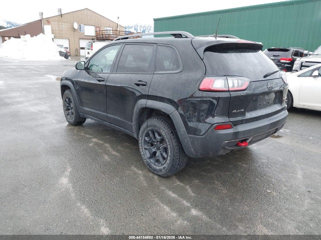 1C4PJMBXXLD619859 Jeep Cherokee Trailhawk 4x4