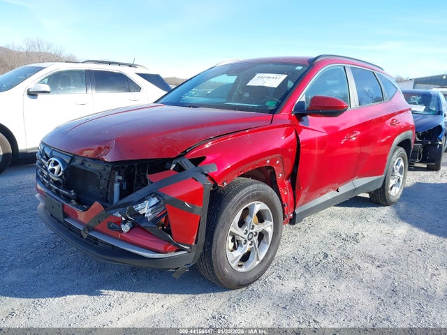 2024 HYUNDAI TUCSON 5NMJBCDE0RH407187 Photo 5