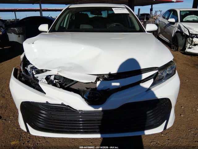 4T1B31HKXKU517826 Toyota Camry Hybrid Le