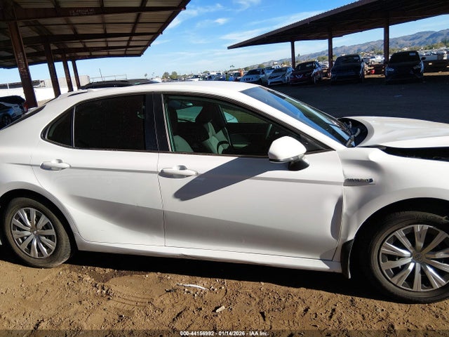 4T1B31HKXKU517826 Toyota Camry Hybrid Le
