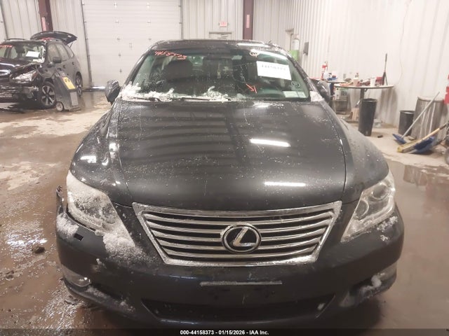 2010 Lexus Ls 460 მანქანა იყიდება აუქციონზე, vin: JTHCL5EF4A5005672, აუქციონის ნომერი: 44158373