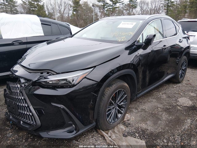 44158398 :رقم المزاد ، 2T2GKCEZ2SC035791 vin ، 2025 Lexus Nx 350h Premium مزاد بيع