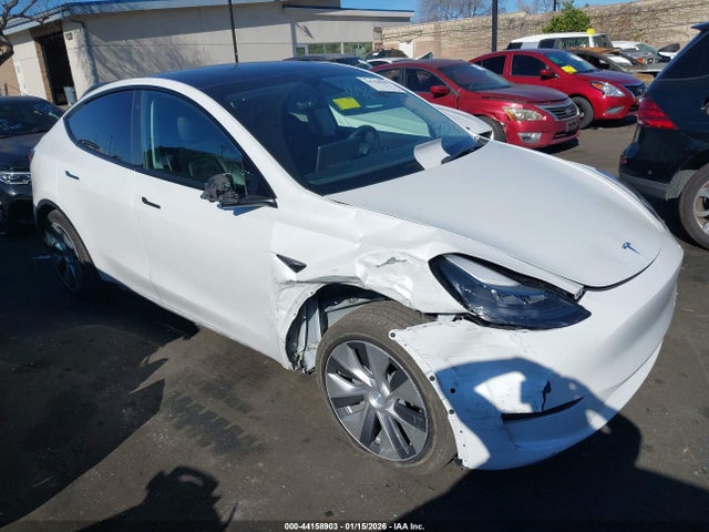 2021 TESLA MODEL Y 5YJYGDEE3MF240709 Photo 0