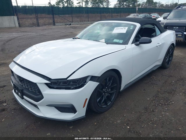 2024 FORD MUSTANG 1FAGP8UH9R5116473 Photo 1