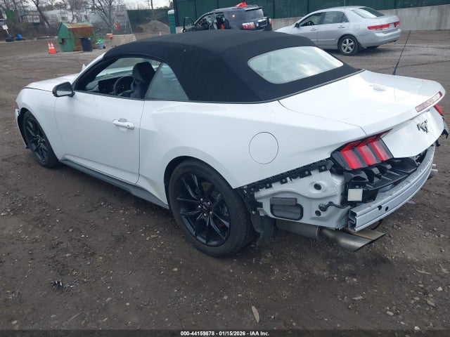 2024 FORD MUSTANG 1FAGP8UH9R5116473 Photo 2