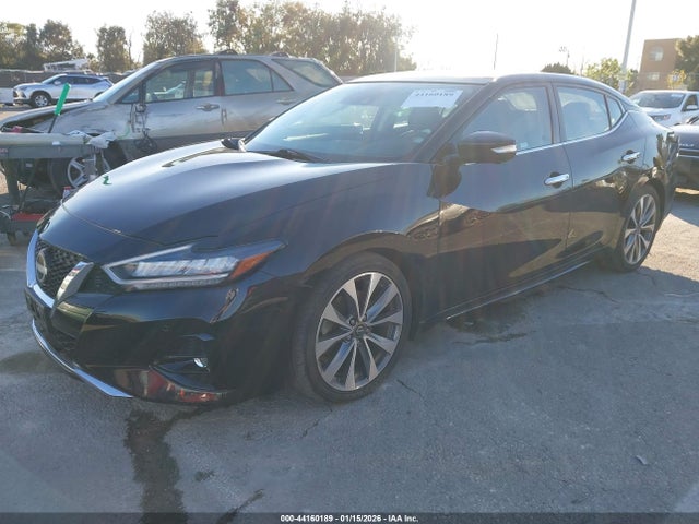 Nissan Maxima Platinum Xtronic Cvt 2023 1N4AA6FVXPC501323 Image 2