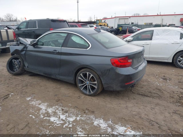 2014 BMW 228I WBA1F5C5XEV255673 Photo 2