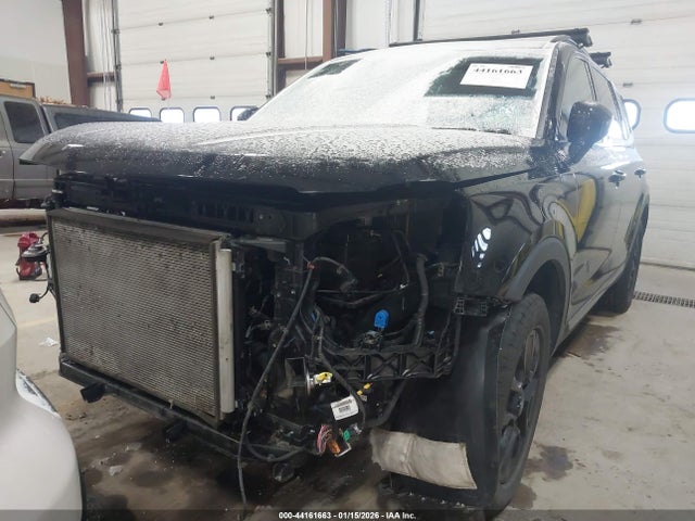 KIA Telluride Sx X-pro 2023 5XYP5DGC3PG410870 Image 12