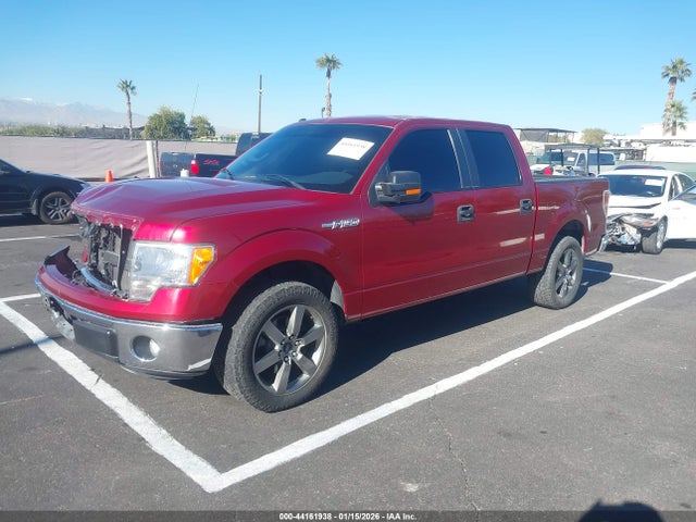 2013 FORD F-150 1FTFW1CF5DFA74709 Photo 1