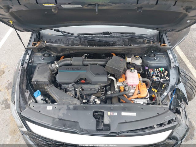 KNDPVCDG5R7145158 KIA Sportage Hybrid Ex