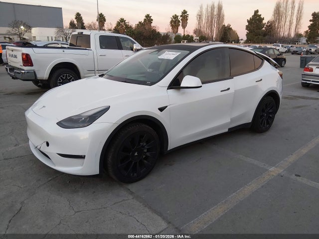 2023 TESLA MODEL Y 7SAYGDEE6PF628976 Photo 1