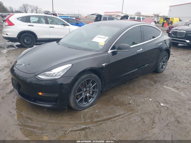 2019 TESLA MODEL 3 5YJ3E1EA3KF431443 Photo 1