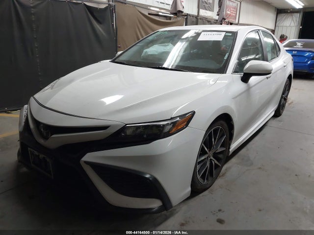 4T1G11AK0MU539987 Toyota CAMRY SE