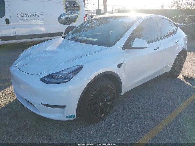 2020 TESLA MODEL Y 5YJYGDEE4LF024012 Photo 1