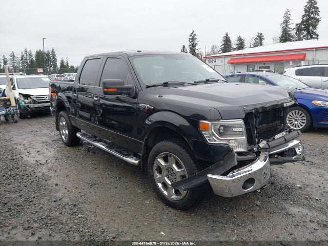 Ford F-150 Xlt 2014 1FTFW1EF1EKD87665 головне зображення
