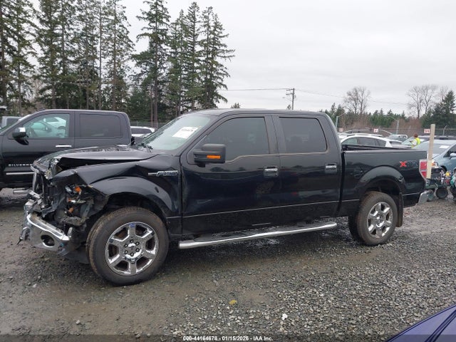 Ford F-150 Xlt 2014 1FTFW1EF1EKD87665 Image 15