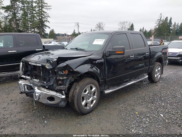 Ford F-150 Xlt 2014 1FTFW1EF1EKD87665 Image 2