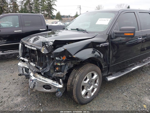 Ford F-150 Xlt 2014 1FTFW1EF1EKD87665 Image 6