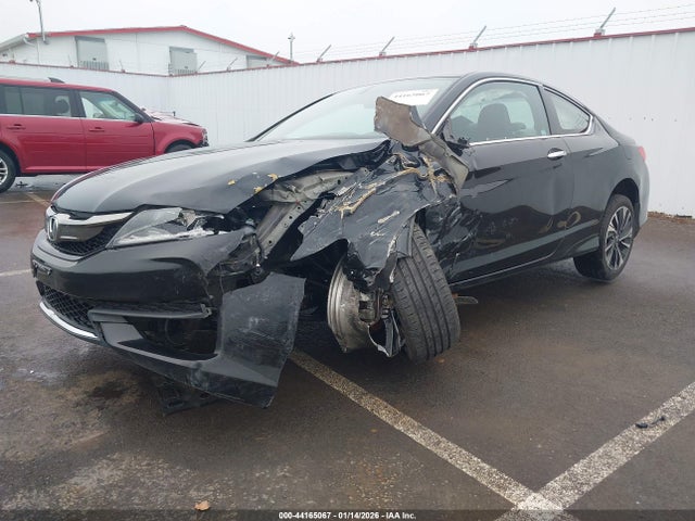 1HGCT2A80GA000266 Honda Accord Ex-l V-6