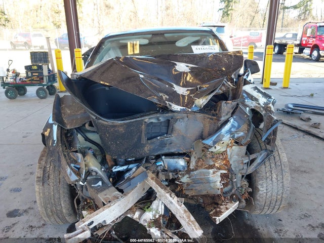 2024 TESLA MODEL Y 7SAYGDEE2RF200793 Photo 5