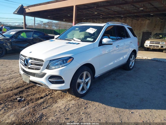 2019 MERCEDES-BENZ GLE 400 4JGDA5GB1KB204943 Photo 1