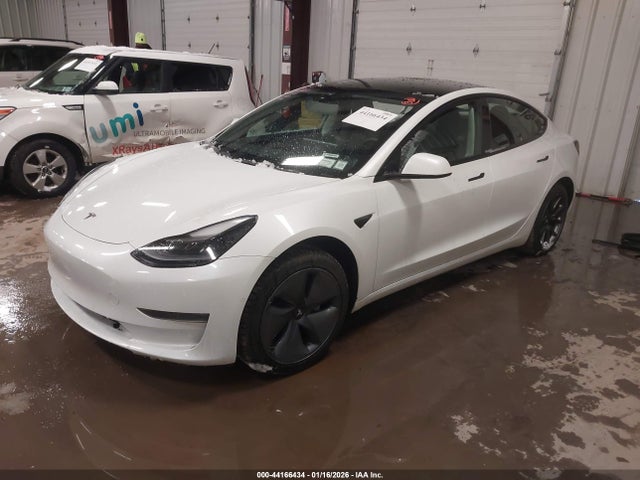 2021 TESLA MODEL 3 5YJ3E1EA3MF096428 Photo 1
