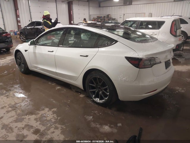 2021 TESLA MODEL 3 5YJ3E1EA3MF096428 Photo 2
