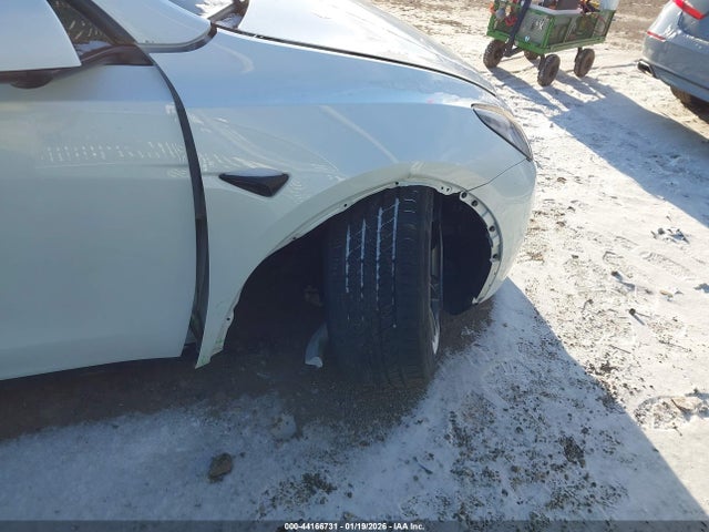 2025 TESLA MODEL Y 7SAYGDEE4SF246762 Photo 5