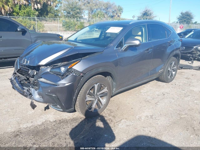 2019 LEXUS NX 300H JTJBJRBZ4K2125917 Photo 1