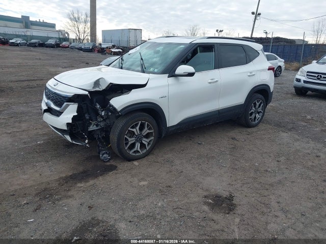 KIA SELTOS EX 2021 KNDERCAA7M7196424 Image 2