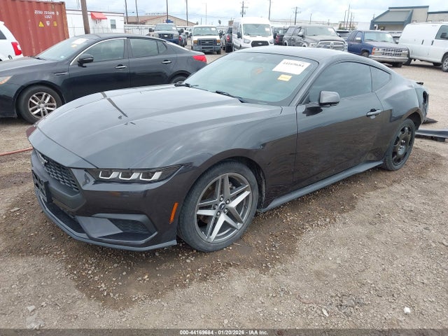 2024 FORD MUSTANG 1FA6P8TH1R5118151 Photo 1