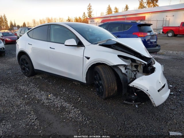 2021 TESLA MODEL Y 5YJYGDEEXMF095166 Photo 0