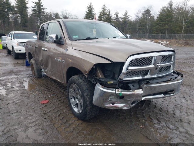 2009 DODGE RAM 1500 1D3HV13T49J504338