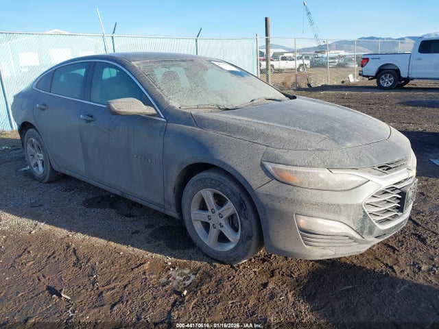 2021 CHEVROLET MALIBU 1G1ZB5ST4MF075866