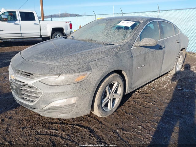 2021 CHEVROLET MALIBU 1G1ZB5ST4MF075866 Photo 1