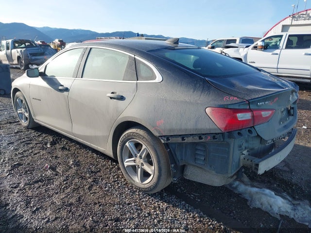2021 CHEVROLET MALIBU 1G1ZB5ST4MF075866 Photo 2