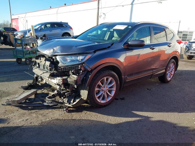 5J6RW2H81KA016307 Honda Cr-v Ex-l