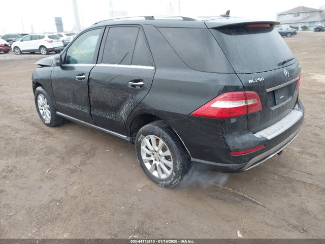 2015 MERCEDES-BENZ ML 250 BLUETEC 4JGDA0EB9FA575088 Photo 2