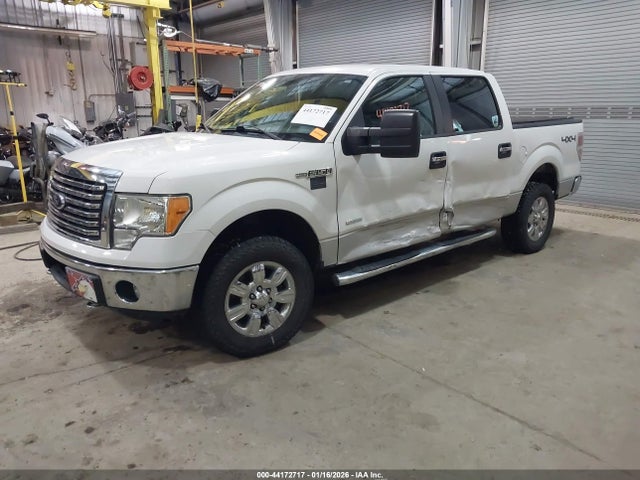2012 FORD F-150 1FTFW1ET3CFC54546 Photo 1
