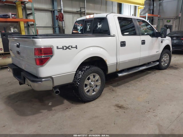 2012 FORD F-150 1FTFW1ET3CFC54546 Photo 3