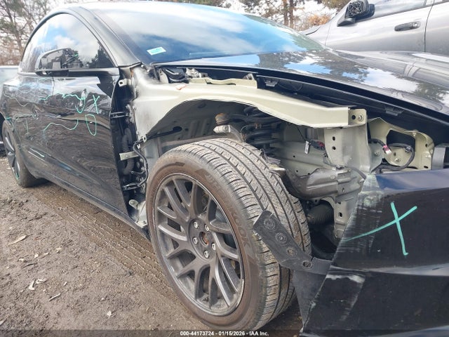 2025 TESLA MODEL 3 5YJ3E1EB2SF898314 Photo 5