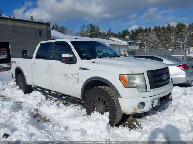 2010 FORD F-150 1FTFW1EV9AFC79742
