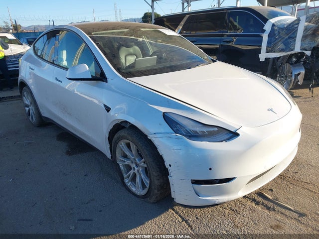 2021 TESLA MODEL Y 5YJYGDEE1MF087375 Photo 0